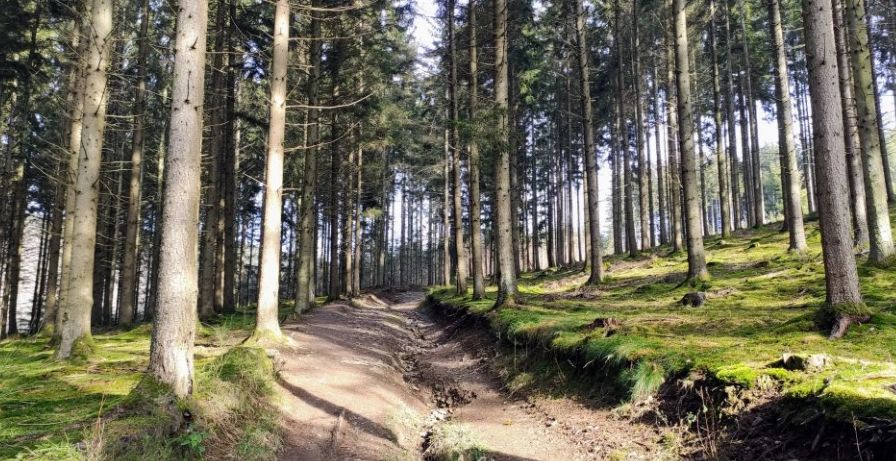 GR57/6 – Sentiers de l’Ourthe