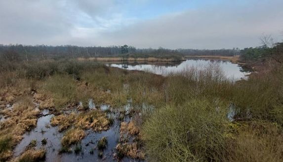 GR565/1 – Sniederspad