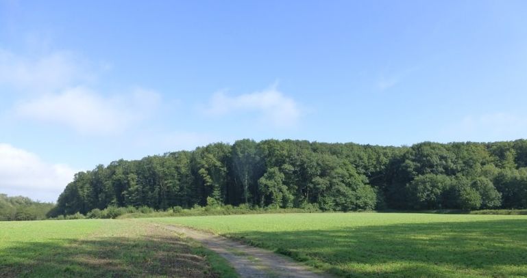 GR128/10 – Vlaanderenroute