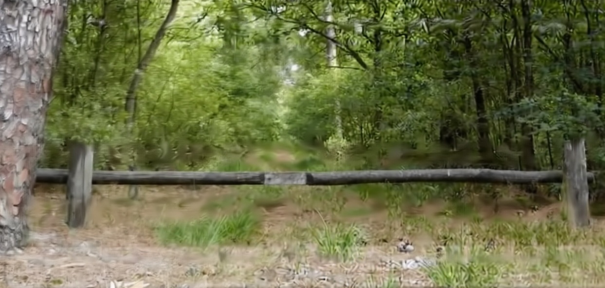 GR131/2 – Brugse Ommeland (29km en 42km)