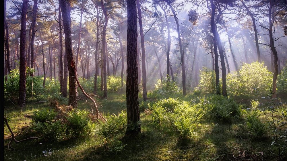 GR561/2 – Kempen-Maaspad