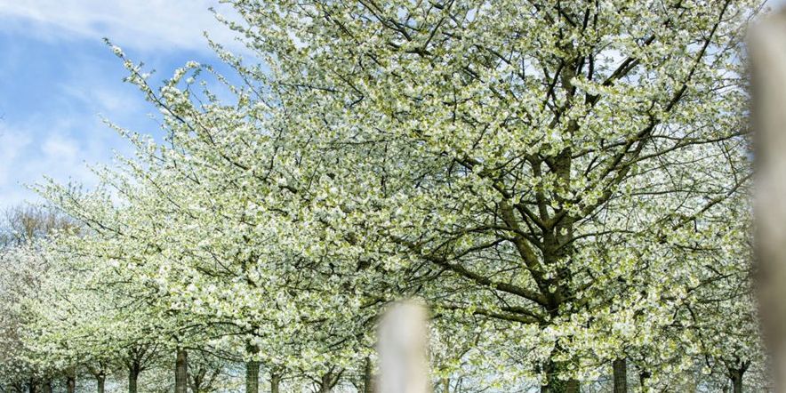 GR564/4 – Loonse route