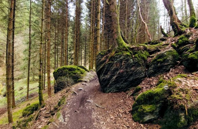 GR57/4 – Sentiers de l’Ourthe