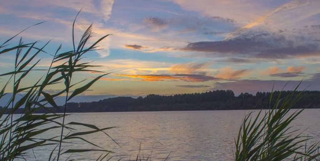 SGR MOL-OM/1 – Streek-GR Mol-Om (Zuidlus)