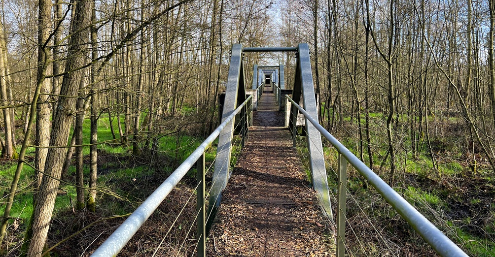 SGR MOL-OM/2 – Streek-GR Mol-Om (Noordlus – 34km of 42km)