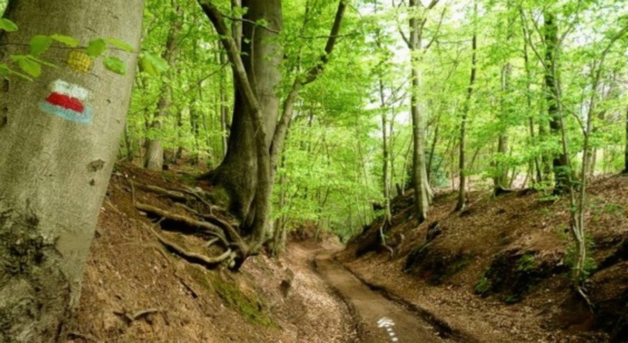 SGR VA/7 – Streek-GR Vlaamse Ardennen