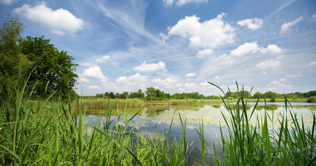 WIJERS/1 – Dwars door de Wijers